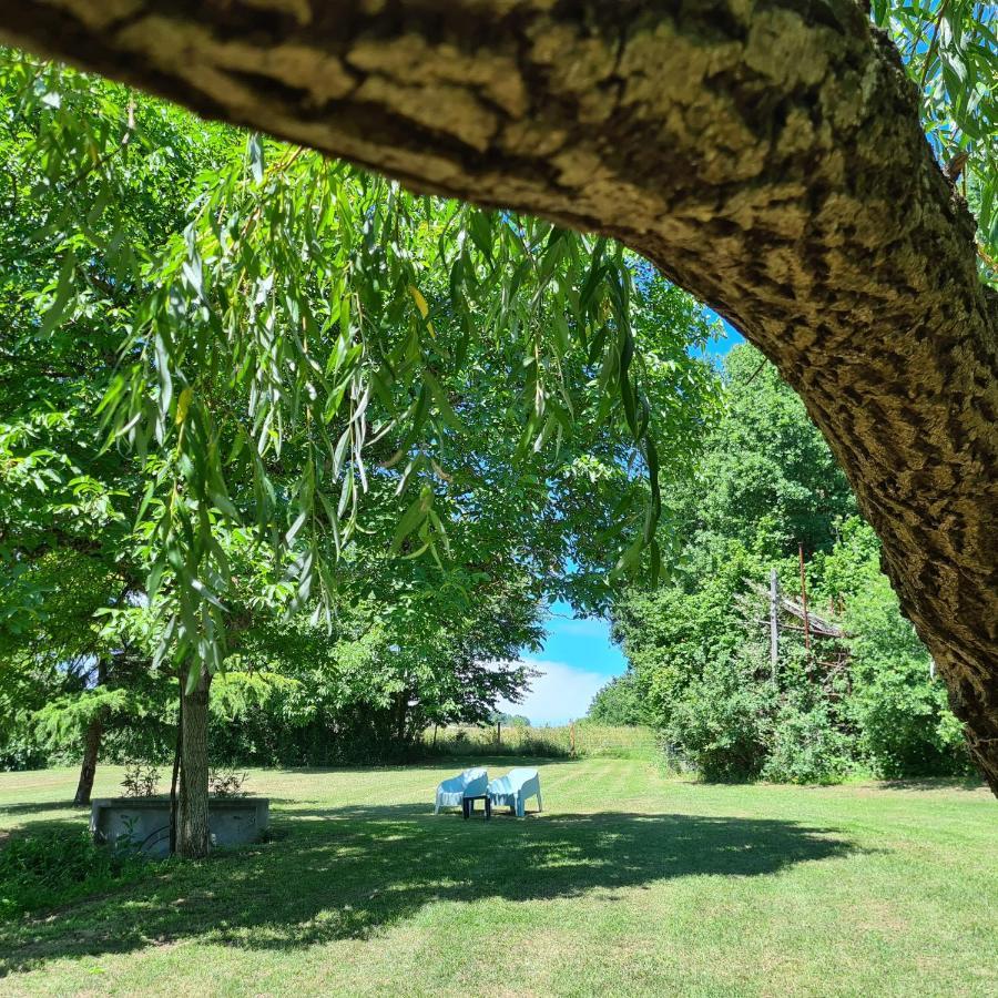 Bed and Breakfast Le Coq En Repos Saint-Sylvestre-sur-Lot Exteriér fotografie